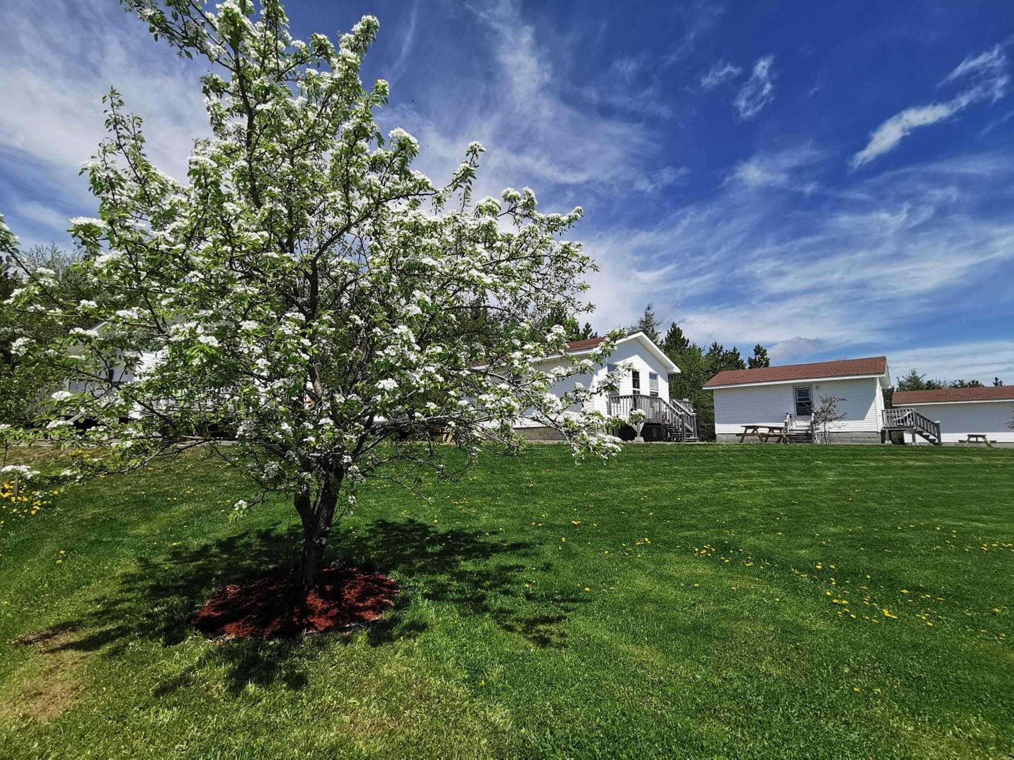 L'Ancrage B&B And Cottages Saint Louis de Kent Exterior foto